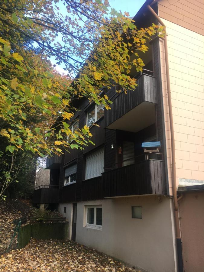 Ferienwohnung Fuchsbau 고슬라르 외부 사진